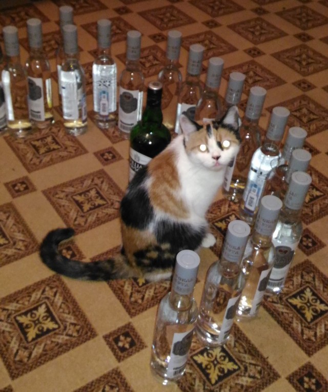 Тяпница подкралась