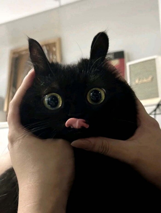 Если долго вглядываться во тьму, она может показать тебе язык