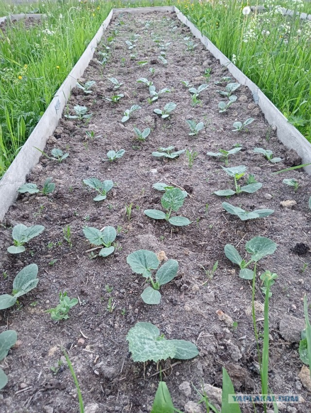 Конкурс Короткого Креатива №30 «Из огня да в полымя или Гори, гори ясно»