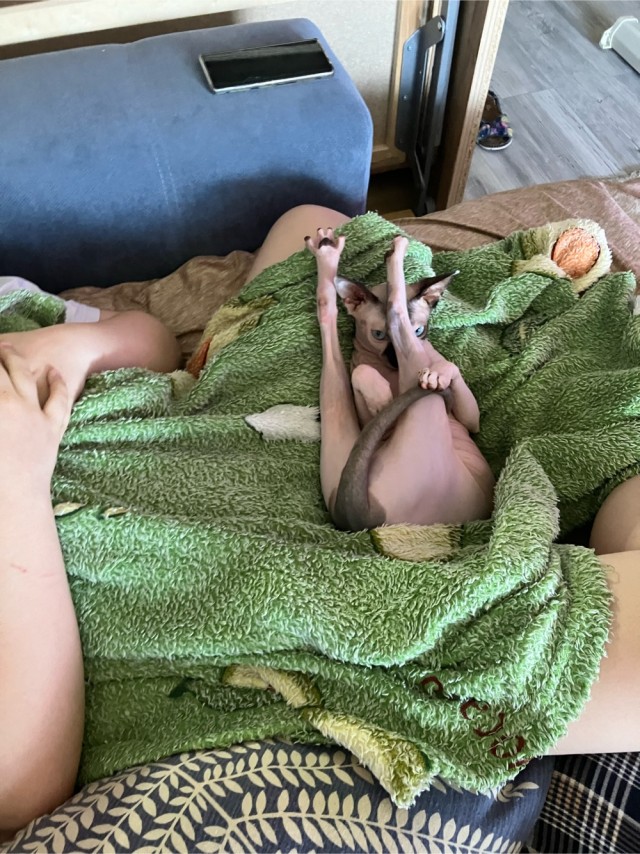 Прикольные морды котов псов к настроению...