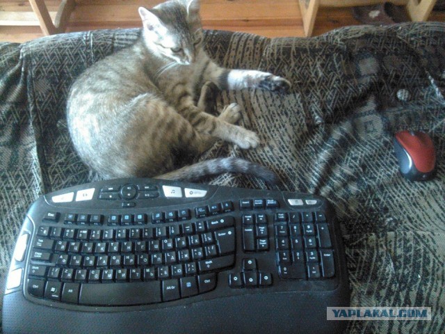 Серьезная уязвимость социальной сети вКонтакте!