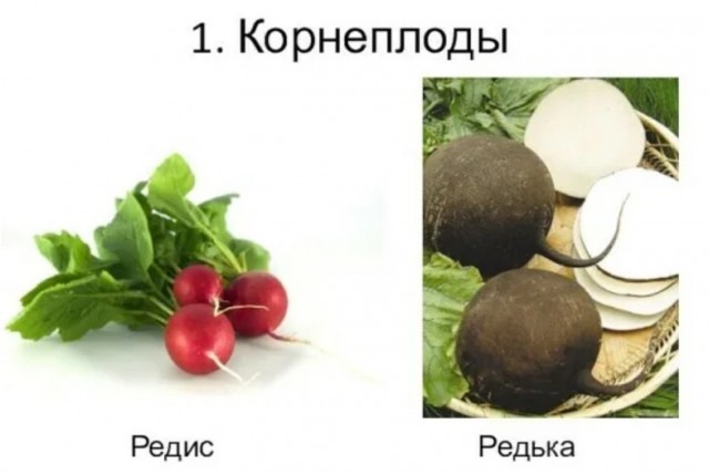 Кто что на ужин готовил?