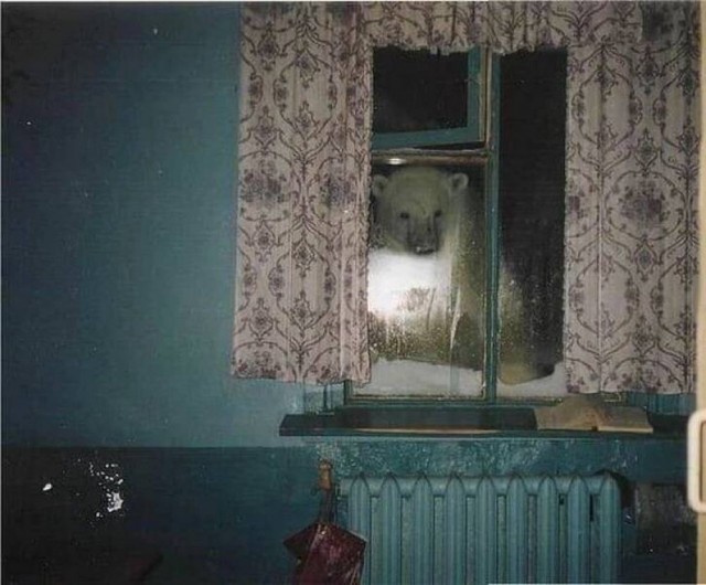 ФотоВинегрет