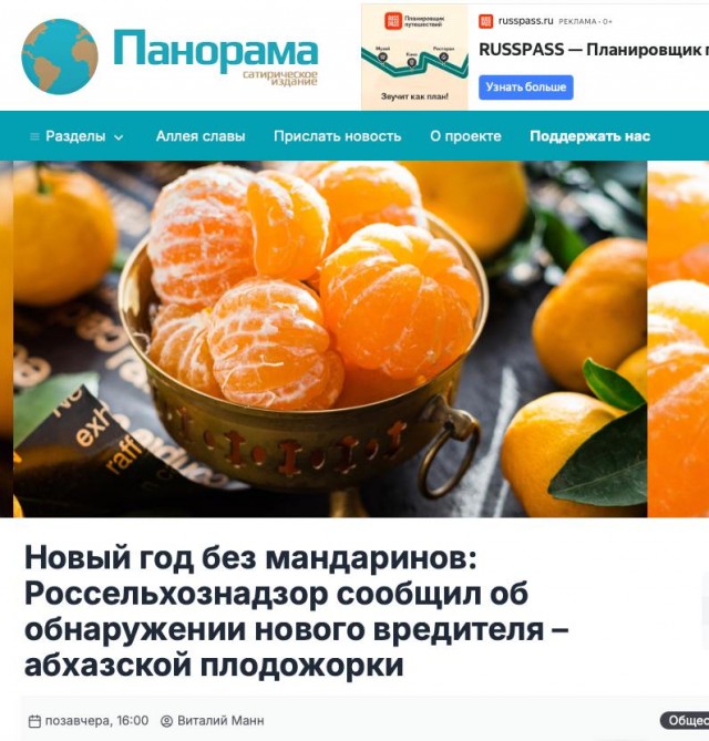 В Абхазии сообщили о запрете на ввоз мандаринов в Россию