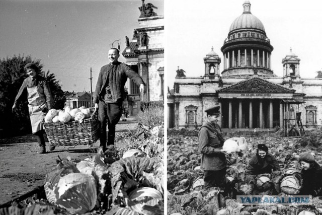СССР в цифрах. 1980 год