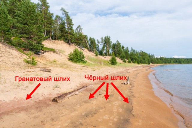 В Домодедово задержали россиянку, пытавшуюся провезти радиоактивный песок из Индии