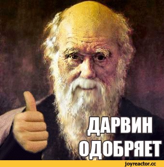 Участница конкурса скоростного поедания блинов в Красноярском крае подавилась угощением и задохнулась