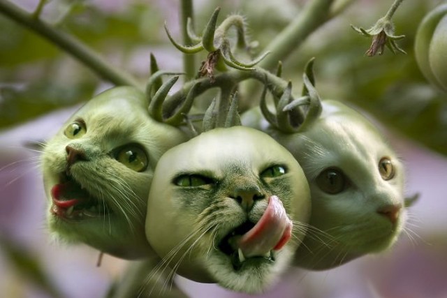 Укуренные картинки