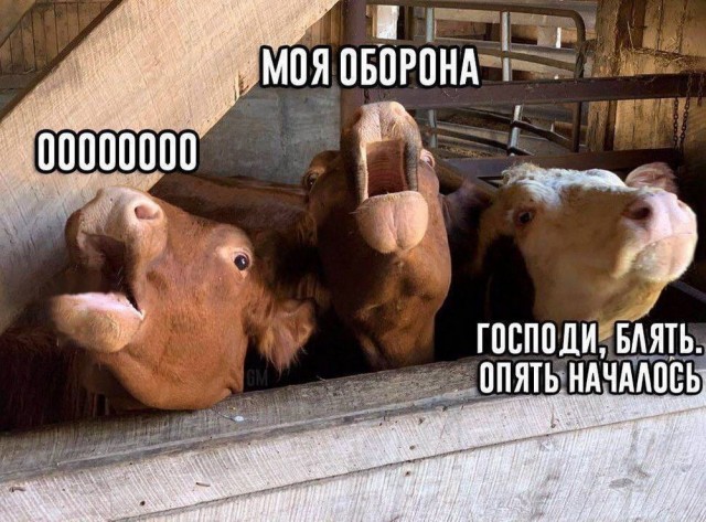 Маленькая пятница 02.07.25