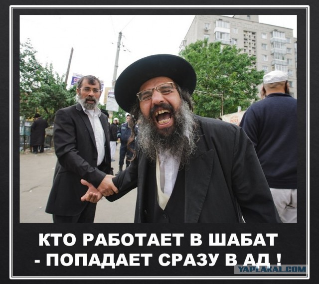 Пора деградировать. Дичь