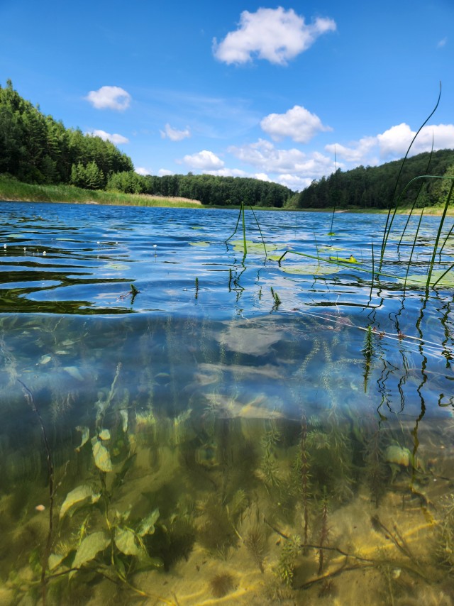 Алаколь. Всё включено отдыхать хорошо, а дикарями лучше