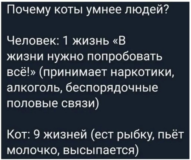 Так себе картинки 02.10.25