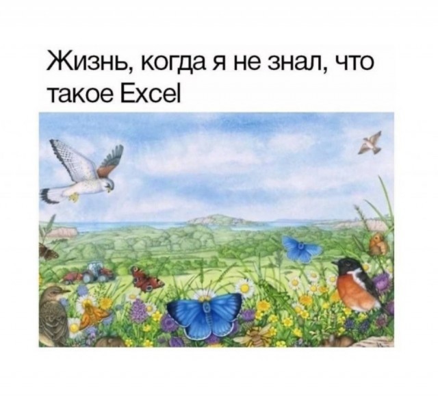Так себе картинки 28.10.25