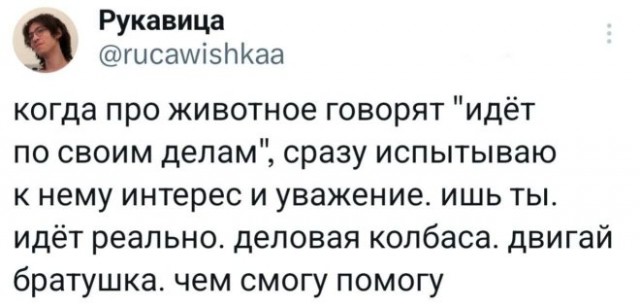 Веселые картинки в понедельник (24.11)