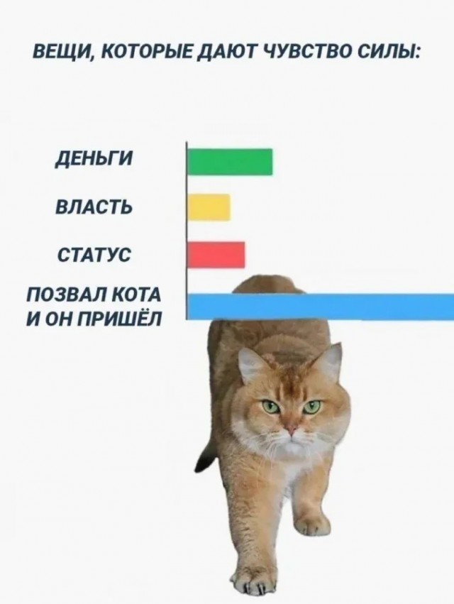 Четверговые картинки