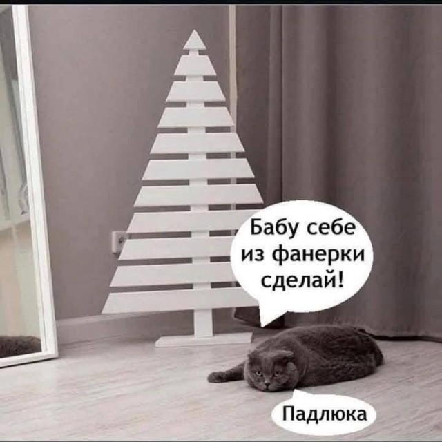 Так себе картинки 21.12.25
