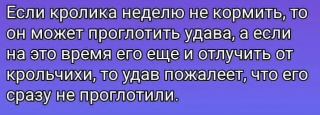 Картинки для деградации 134 (разной степени свежести)