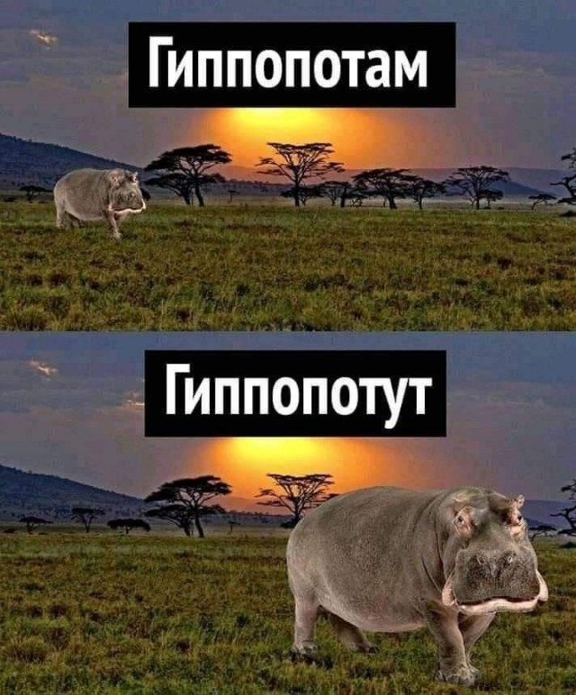 Пятничные картинки