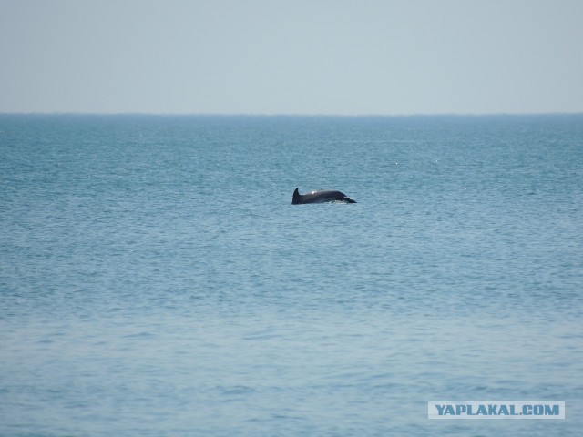Как мы в Крым катались