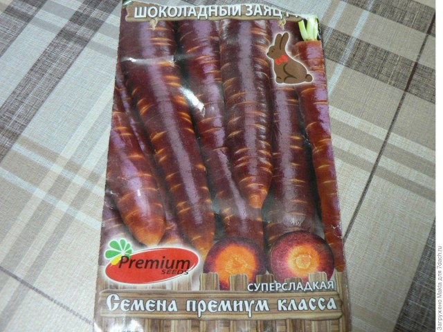 Кем же будет кабачок?