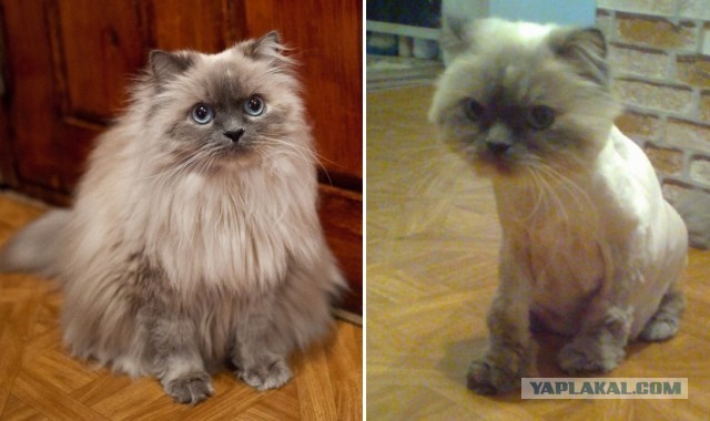 18 лет!