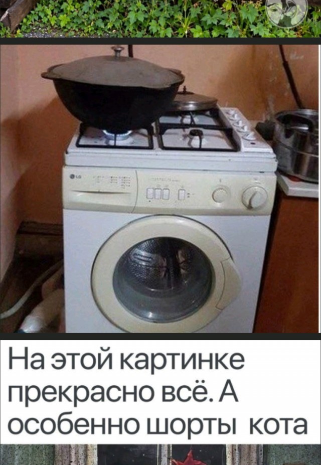 Так себе картинки 22.10.26