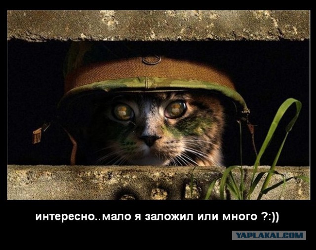 Сейчас каааак жахнет!