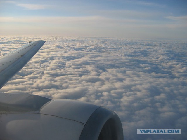 27 причин взять место у окна