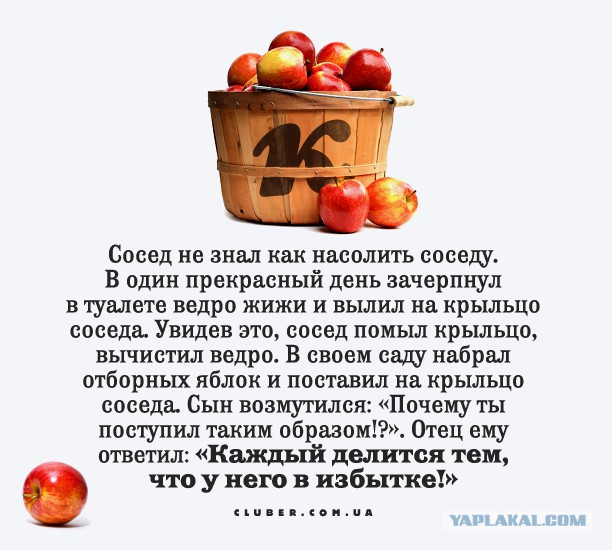 Очень мудрый сосед!