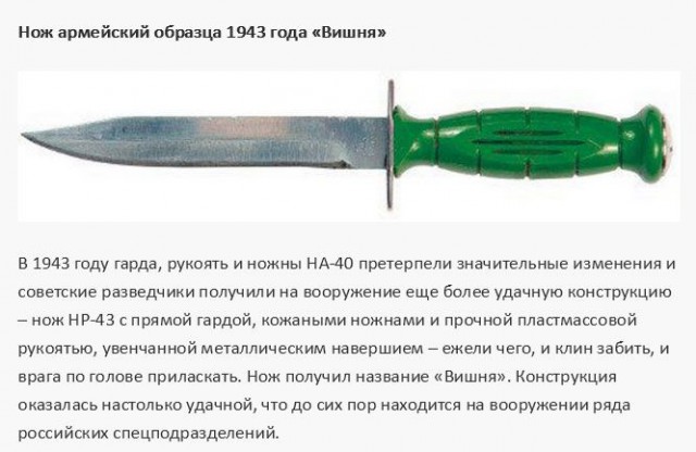 Истории про нож. Истории про нож. Исторические кинжалы. Эволюция ножа. Эволюция ножа.