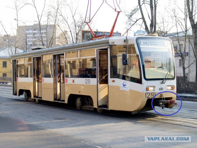Прервали на полуслове