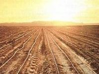 Отмена продовольственного эмбарго