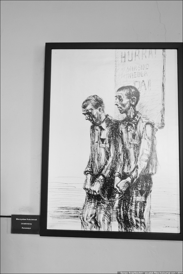 Рисунки узников Освенцима