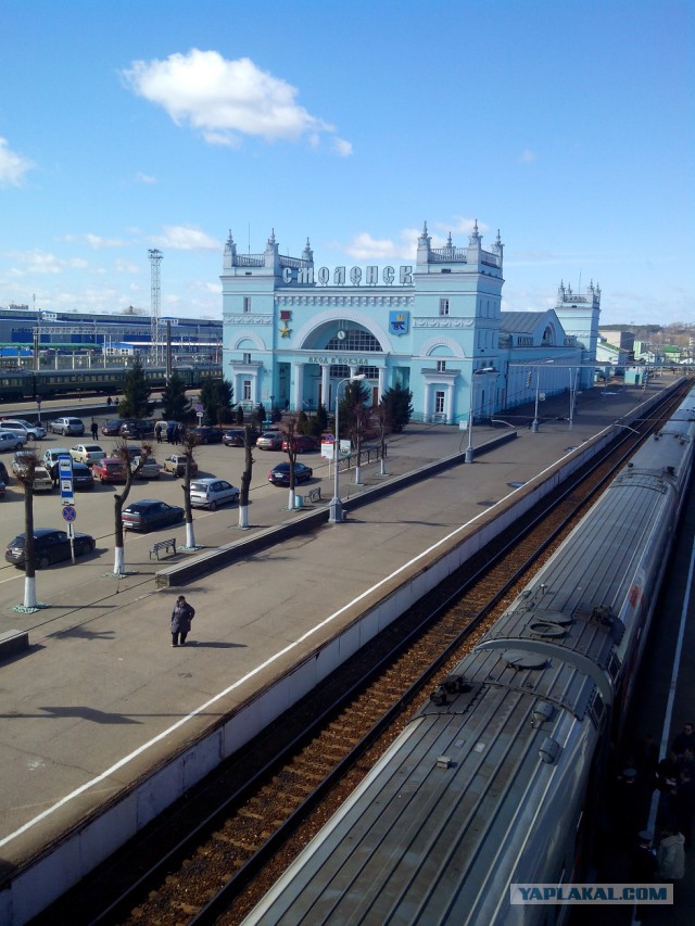 Миграция московского планктона