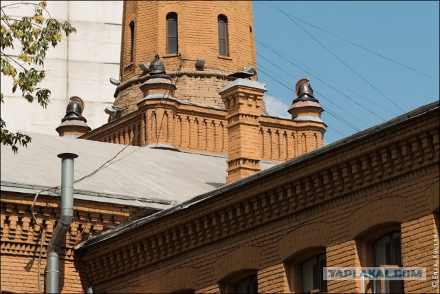 На каланче...с пожарными