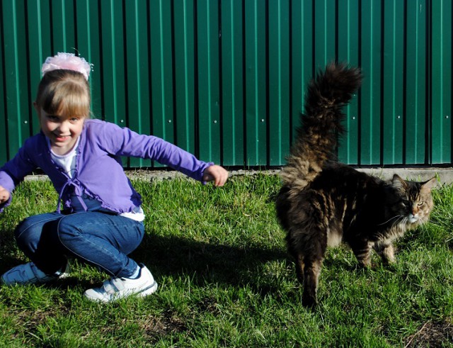 Котовторник 5.05.2015.