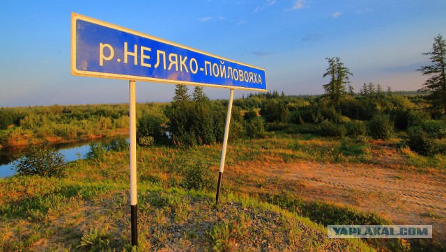 Информационные знаки на дорогах Ямала