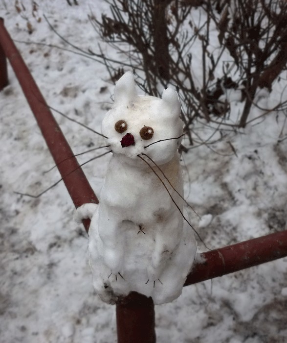 Заяц лезет на дерево