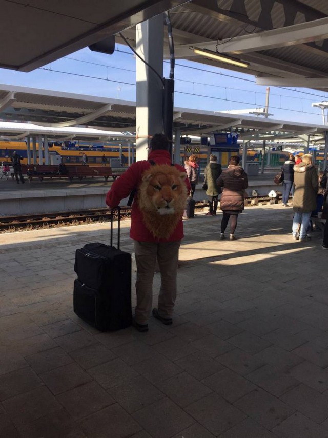 Интересные и веселые картинки