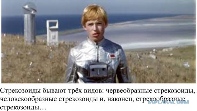 7 главных инопланетных рас, по мнению уфологов
