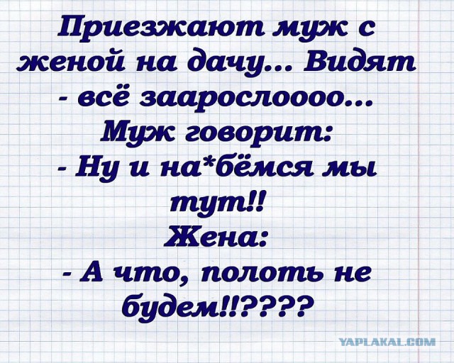 Комментарии, подписи, текстовые приколы