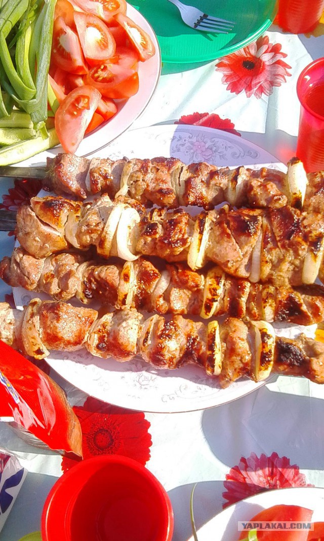 Следственный эксперимент с шашлыком