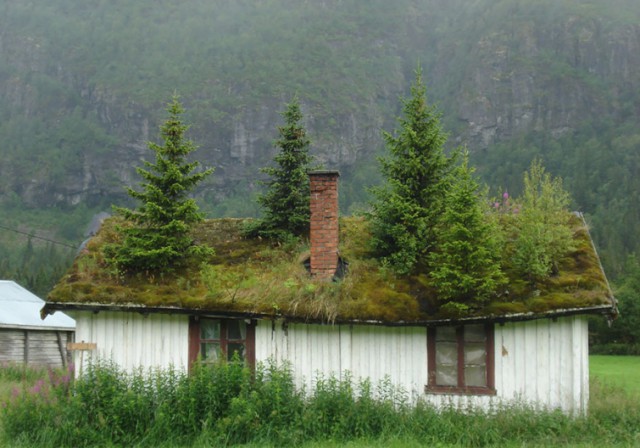 Скандинавские дома с зелёными крышами, в которых наверняка живут хоббиты
