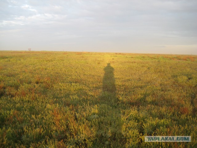 Степи Казахстана