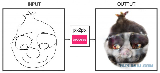 Коты, которых вы бы не хотели увидеть у себя дома