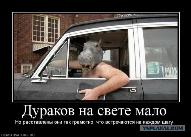 "Я поворотник включил - ты обязан пропустить"