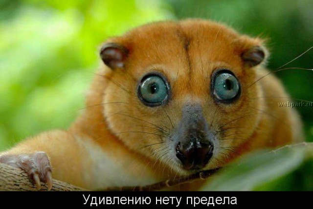 Суббота - рабский день!