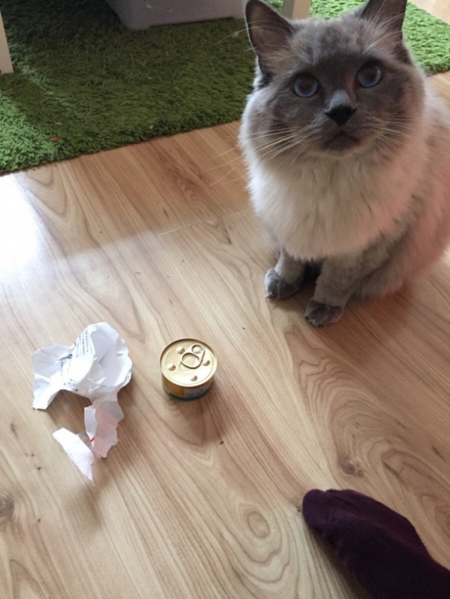 19 фото, на которых каждый получил на Рождество то, о чем даже не мечтал