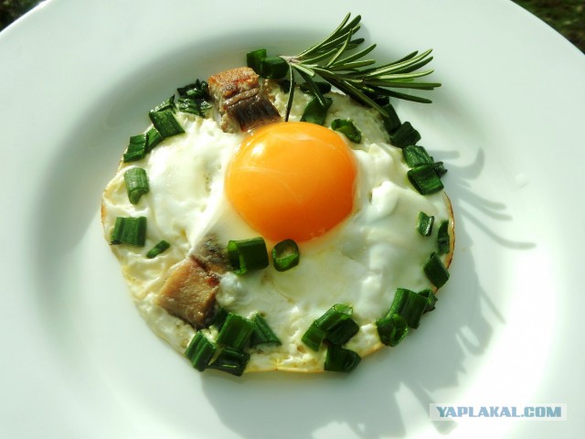 Новогодний завтрак гурмана