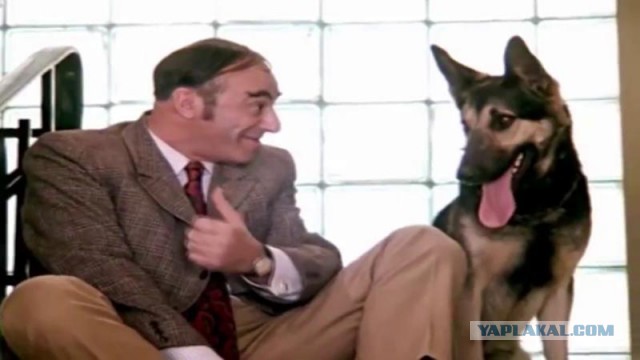 Неудачливый взломщик